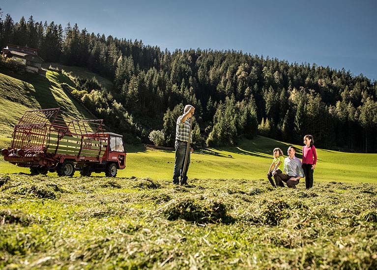 Farm holidays in South Tyrol